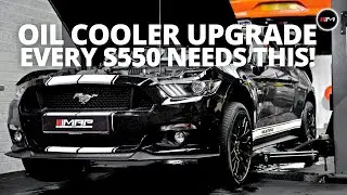 How To Upgrade Your Oil Cooler Mustang GT