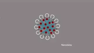 NC State Research: Cancer-Killing Nanodaisies