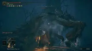 Ulcerated Tree Spirit - Horned Bairn (Under the Ellac Greatbridge) - Elden Ring SOTE