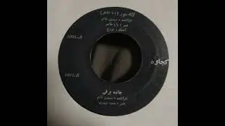 Simin Ghanem - Barfi Avenue