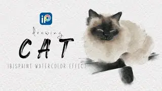 Drawing cat using ibispaint // Watercolor Effect // SketchZa