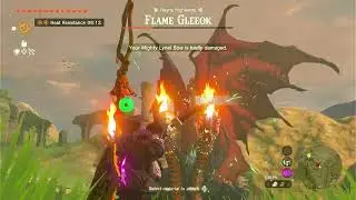 Flame Gleeok Fight - Legend of Zelda Tears of the Kingdom