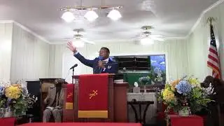 Planted To Prosper! Psalm 11 3