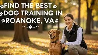 Find the Best Dog Training in Roanoke   VA Virginia