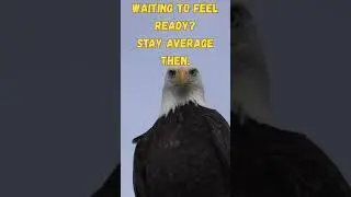 365 No Excuses |  Day 20#dailymotivation #shortvideo #motivation #consistency #discipline #viral