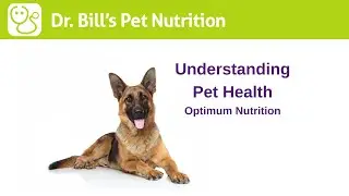 Understanding Pet Health | Optimum Nutrition | Dr. Bill's Pet Nutrition | The Vet Is In
