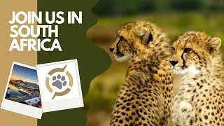 A South African Tour You Need To Go On