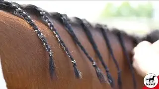 5-Sterne Flecht Grip von leovet (Anwendung an dünner Mähne)