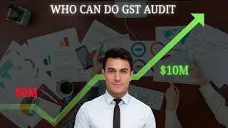 Who Can do GST Audit