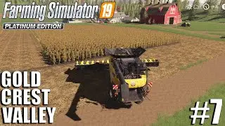 Sunflowers Harvest - Gold Crest Valley | Timelapse #7 | fs19 | Farming Simulator 19