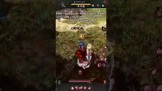 Maegu Succession &bull; PVE Combo &bull; BDO