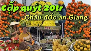 Chợ hoa Xuân châu đốc lên cặp quýt 20 triệu ,tiểu thương lên bông tấp nập ngày 28/1/2026 