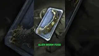 Fallout&rsquo;s Worst Food