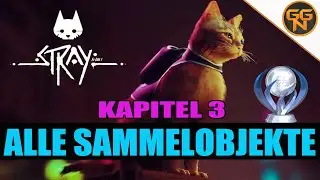 Stray - 100% Guide Alle Sammelobjekte - All Collectibles - Kapitel 3 - Die Wohnung