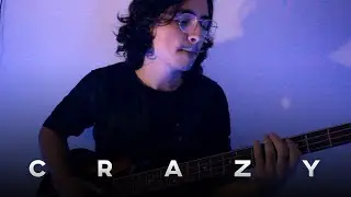 CRAZY | Gnarls Barkley | Bass Cover | Scary Pockets Version.