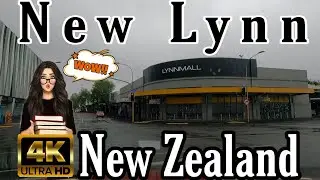 Driving around NewLynn New Zealand 2021 (indashop)