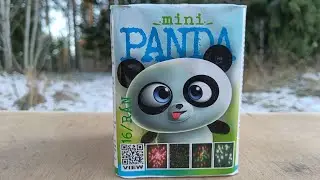 Mini Panda SR Pyro Uusivuosi 2025 - 2026