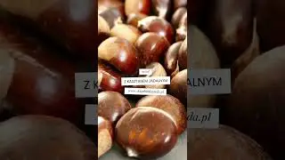 Rośliny Św. Hildegardy polecane dla zadbania o wątrobę i obniżenia cholesterolu