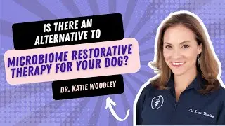 Is there an alternative to Microbiome Restorative Therapy for your dog?