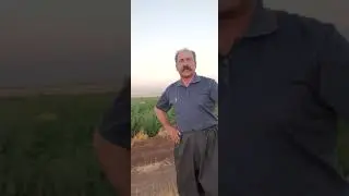 هوره جهانشاه ملکی قدیمی چرازایل قلخانی طایفه خدایارملک
