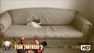 Team Fortress Cats all funny moments ( Reuploaded)
