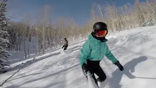 Saddleback Powder Laps