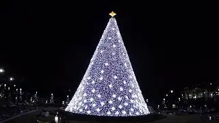 NATIONAL XMAS TREE 2016