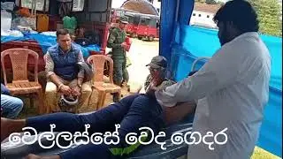 ශ්&zwj;රී දළදා මාලිගාවේ පෙරහැර මංගල්&zwj;යයට සමගාමීව මහා විෂ්ණු දේවාල භූමියේ හෙළවෙද සායනය 2025.08.01
