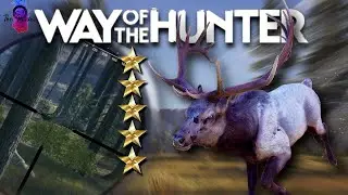 Look At The Size Of This HUGE 5 STAR MATURE ELK! | Way Of The Hunter.