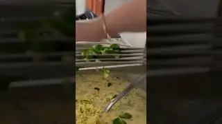 Amazon finds! Use herb scissors to finely chop green chilies #amazonfinds. Link in the description.