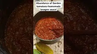 What to do with Garden Tomatoes | Gardening Inspiration!