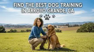 Find the Best Dog Training in Arroyo Grande California