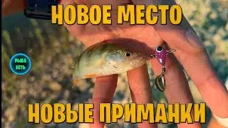 ПРИМАНКИ КОТОРЫЕ ЛОВЯТ👍. РЫБАЛКА С ПОДПИСЧИКАМИ. #рыбаесть #рыбалканаозере #рыбалкавкрыму