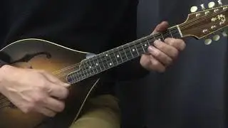 Tennessee waltz - mandolin cover with tab & backing track
