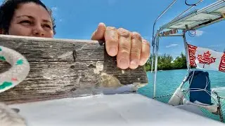 NOT WELCOME sailing West Palm Beach to Miami