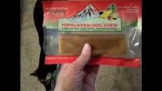 Himalayan Dog Chew Review
