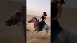 Girl riding horse status #shorts #girl #horse #whatsapp #status #horserace #dessertrace #dessert
