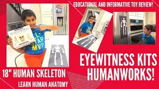 UNBOXING HUMAN SKELETON MOLD KIT / EYEWITNESS KIT HUMANWORKS/ EDUCATIONAL TOY REVIEW!