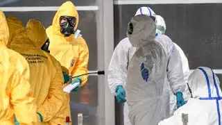 WATCH: World Health Organization delivers an update on the coronavirus