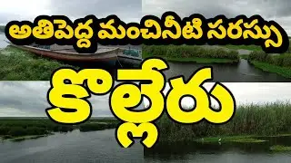 Beautiful Lake Kolleru |Very Big Lake in India #nature #lake