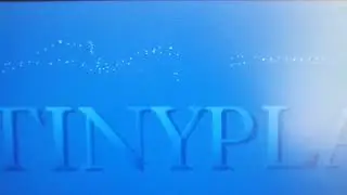 TRDOS 386 Graphical Sound PLAYER demo (Real Computer, AC97 NFORCE4 hardware)