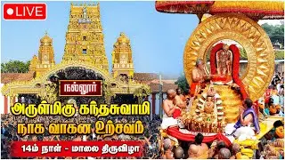 🔴LIVE: நல்லூர் கந்தசுவாமி கோவில் 14 ஆம் நாள் மாலை திருவிழா - Nallur Kandaswamy Temple Festival 2025