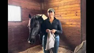 How to Put on a Fly Mask