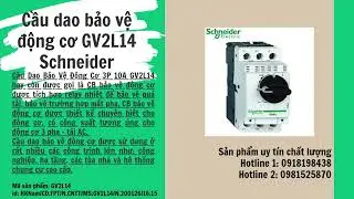 HKNamCD FPTN CNTT GV2L14 2001261615