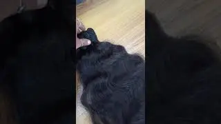 Natural Wavy 24 inch Human Hair / Indian Weft Hair / +919444475666