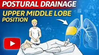 Upper Middle Lobe Postural Drainage Explained | Chest Physio#video #viral #viralvideo #physiotherapy