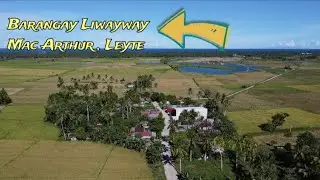 Welcome to Barangay Liwayway Mac Arthur , Leyte 🌴🏚Aerial video..