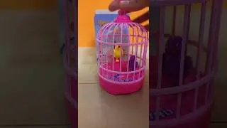 Interesting Birdcage || birds toys