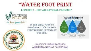 HOW TO KNOW WHAT IS WATER FOOT PRINT 