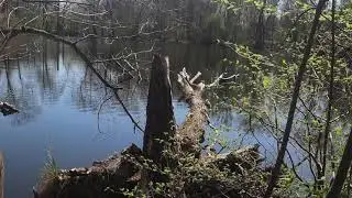 Storchenradweg um den Beetzesee